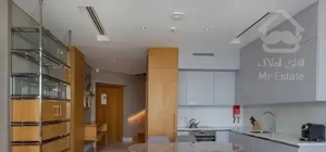 مینا رزیدنس تک خواب تراس بزرگ ۳۰ متری