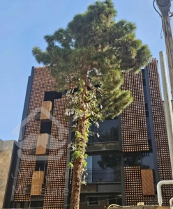 فروش آپارتمان ۱۷۵ متری ۳ خوابه مادی نیاصرم