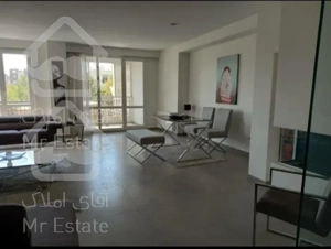 خرید آپارتمان ۱۶۴متری در فرمانیه