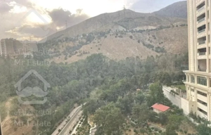 زعفرانیه-۵۵۰متر-دید ابدی