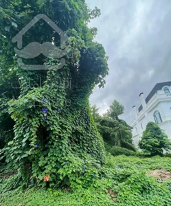 ویلای ۲۵۰۰ متری نزدیک جنگل در شهرک امیردشت