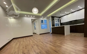 ۶۰ متر ، نورگیر عالی ، گیشا