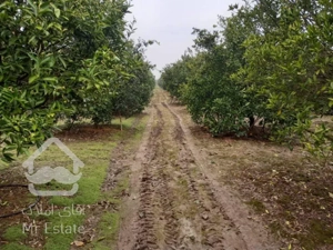 ۱۰۰۰متر باغ