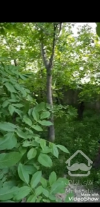 فروش ویلا لواسان