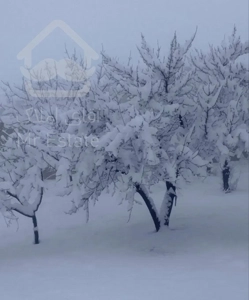 واحد خوش نقشه نوساز فول امکانات ساختمان خلوت