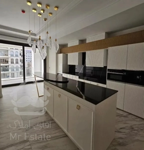 ۲۵۰مترنیاوران(تراس۳۰متر+ویوvipجنوبی)مجرد/تک واحد