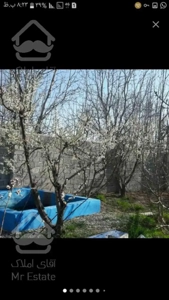 ۱۵۴۰مترباغ گلبرگ