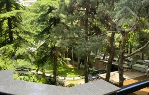 ۲۰۰متر سعدآباد تکواحد ویو دار