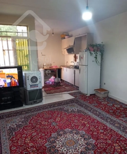 اجاره آپارتمان ۵۵ متری ۱ خوابه طبقه ۲ در شمیران‌نو