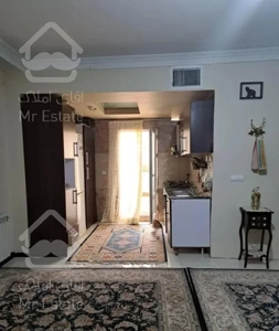 ۶۰متر (خ پورعبدی کوچه روشن)