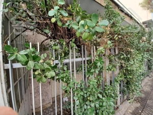 اجاره مستغلات موقعیت اداری صادقیه بر اصلی