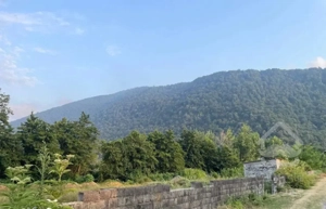 627 متر زمین شمال جنب نمک آبرود