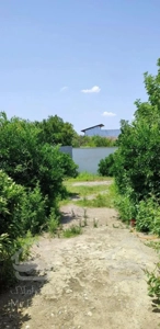 ویلا باغ سه هزار و پانصد متر قاعمشهر