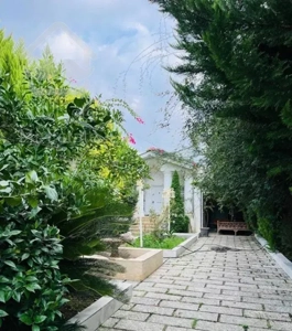 ویلا جنگلی مشجر