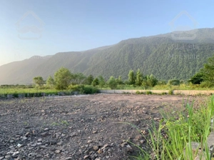 فروش زمین ۲۴۰ متری نوشهر ملکار