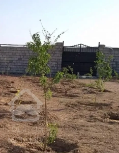 باغ چهار دیواری امکانات تکمیل