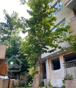 ۸۱م مدرن / پل رومی / اوقاف / فقط اگر نقدینگی دارید