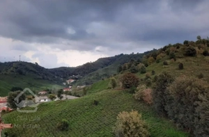 اجاره تک واحدی175متری3خواب کلیدنخورده سعدی ویودار