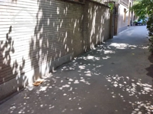 فروش 233 متر مستغلات در هروی