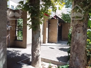 650 متر کلنگی تاپ دروس