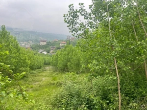 فروش زمین 250 متری در منطقه توریستی بابلکنار