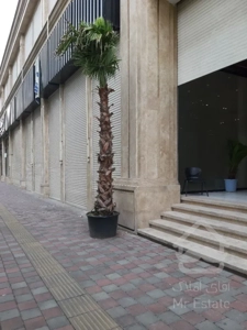 رونیکا مال 34 متر هروی همکف