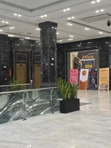 جایی مغازه بزن که فردات رو تضمین کنه | رونیکا مال، برند محور منطقه