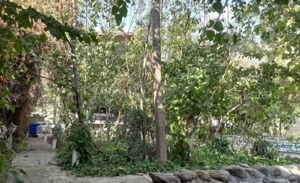 آپارتمان ۱۰۰متر ۲خواب غرق نور