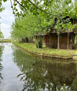 شهر پایدار روی آب با معماری مدرن و خودکفا