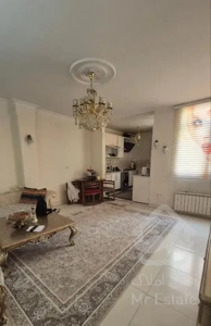 کوچک ،شیک ، اقتصادی/۵۰متری خاص