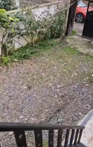 ویلاروستایی استخردار/سی دقیقه تالاهیجان ودریا/نوشر