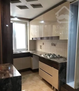 ۵۵متر سندتک برگ مالک فروشنده دارآباد