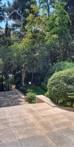 تاپ لوکیشن(گلستان شمالی)۲۱۰متر