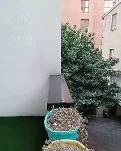 آپارتمان هوم آفیس 1خواب مجرد/زوج*تخلیه