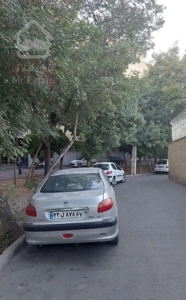 آپارتمان ۸۱متری بر مادی فرشادی بزرگمهر