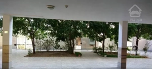 100متراقدسیه21طبقه سوم آسانسوردار