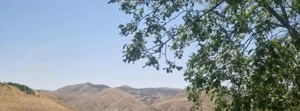 سرمایه گذاری هوشمندانه در لواسان