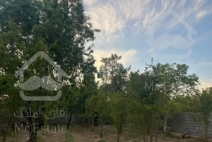 باغ پاسداران خیابان وصال