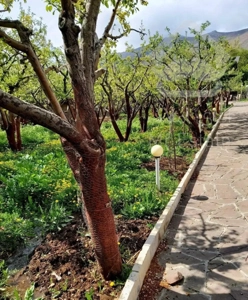 ویلا دماوند قلب روح افزا