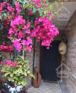 بازسازی و دیزاین داخلی