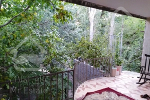 سوییت جنگلی روزانه