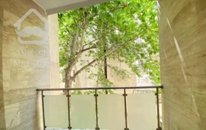 ۲۲۰متری زعفرانیه