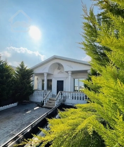 ویلا جنگلی٪بافتروستای ٪سند ششدانگ