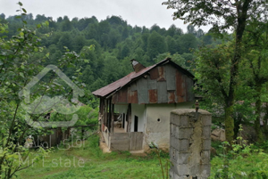 خانه روستایی بکر و در دل جنگل