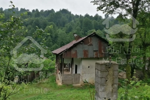 خانه روستایی بکر و در دل جنگل