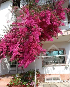 دوخوابه شیک وتمیزدرشهر زیبای رامسر