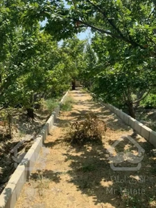 خریدوفروش باغ 4364متری