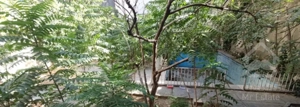 ۱۴۰ متر ۳ خواب / غرق در نور / نوستالژی