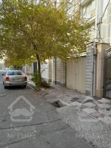 جنت آباد جنوبی نقلی بنفشه ها