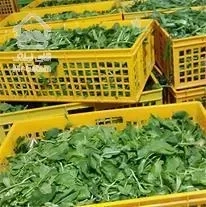 اجاره مغازه/تجاری براصلی/درتهران صادقیه